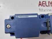 Telemecanique Xs7C4A1Mpp20 Inductive Proximity Sensor