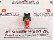 Telemecanique Zb2R Push Button Set 5A 500V