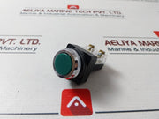 Tend 6A 250Vac Green Push Button Switch