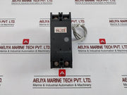 Terasaki Xe100Nn 2 Pole Tembreak Circuit Breaker 1T2-1-000-06P Ac600V Dc250V