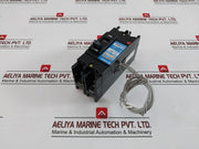 Terasaki Xe100Nn 2 Pole Tembreak Circuit Breaker 1T2-1-000-06P Ac600V Dc250V