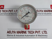 Tess En 837-1 Pressure Gauge 0 To 25 Bar 0 To 350 Psi