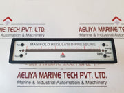 Texmate Fx-b101Q Bargraph Manifold Regulated Pressure