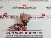Thomas 1100 Liquid Flow Switch