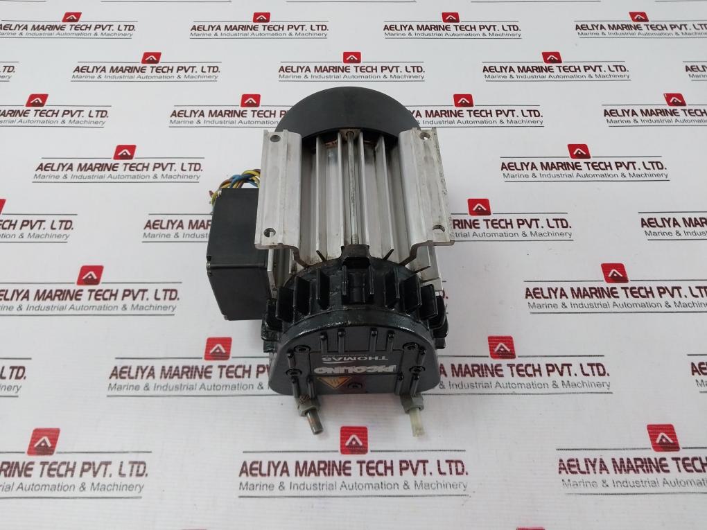 Thomas Picolino Vte 3 Rotary Vane Pump 25130110