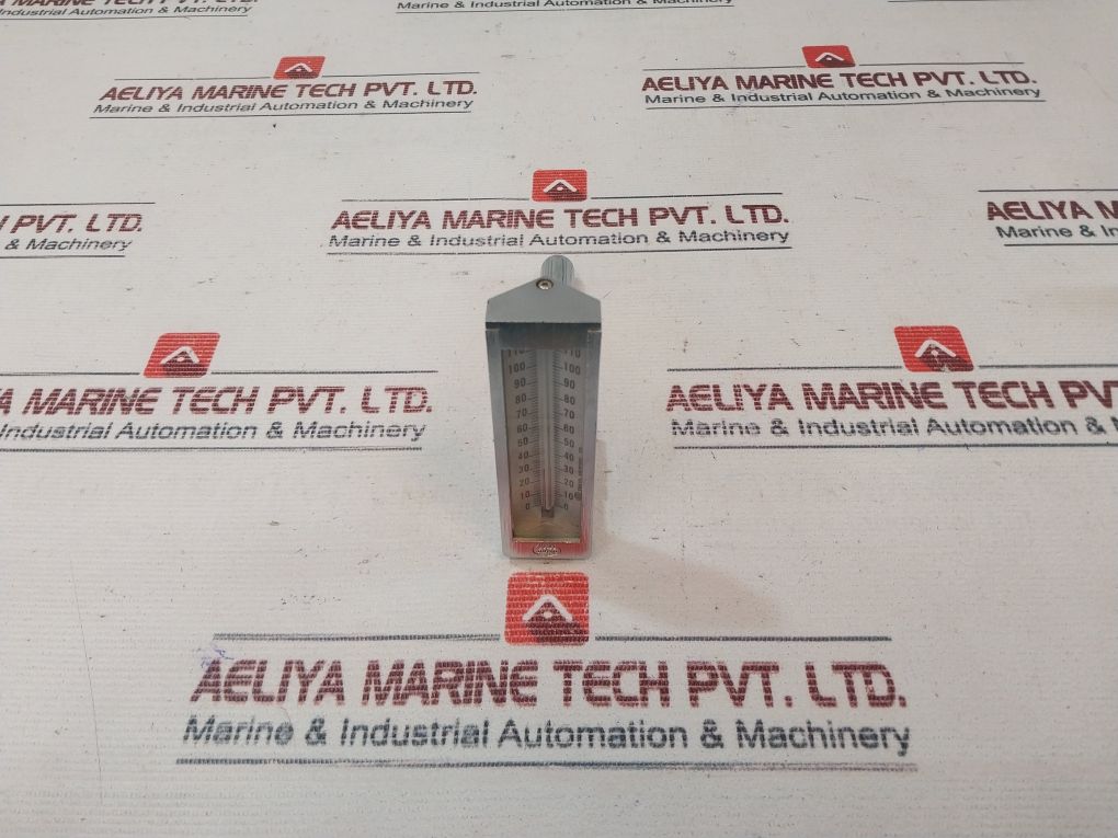 Tokyo Keiryoki 0-120 Degrees C Thermometer