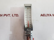 Tokyo Keiryoki 0 To 100 C Thermometer