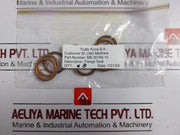 Truflo Rona Ms 35769-31 Actuator Repair Kit SealÂ 