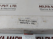 Ts-a2 Al0~100Â°C Thermometer