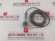 Type Cm Shielded E113096 Sensor