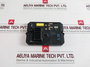 Van-za Electronic Automatic Voltage Regulator 6070701