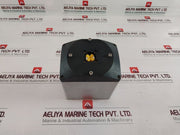 Vat 61236-peap-aig1/0405