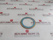 Vortex 1834-na-eos Flange Gasket Cs 600Lbx98X117X133X4.5 0Ab-000-00A