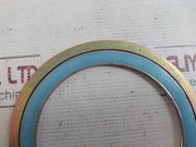 Vortex 1834-na-eos Flange Gasket Cs 600Lbx98X117X133X4.5 0Ab-000-00A