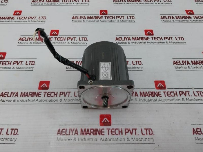 Vtv Motor Yn80-25 Precision Gear Motor 25W 220V 50/60Hz 2.0µF 0.35A