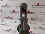 Vyc Dn-25X40 Safety Valve With Spring Loading