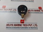 Waaree 0-4000 Psi Pressure Gauge