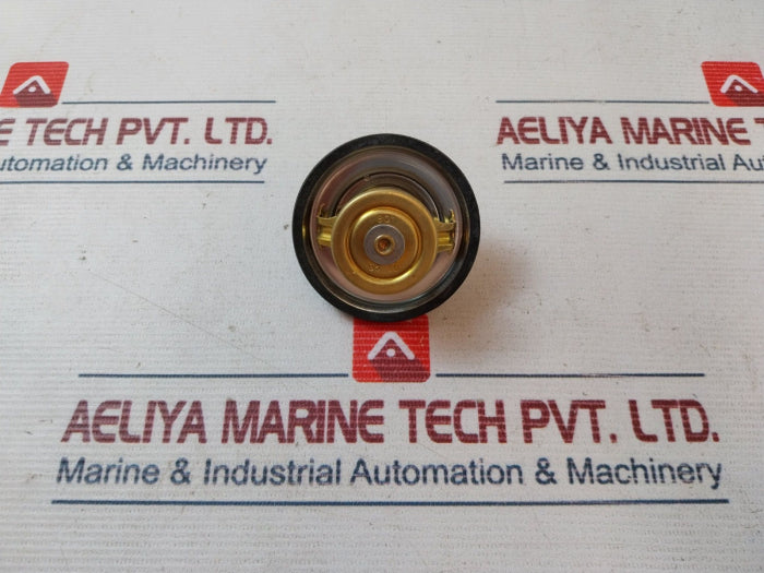 Wahler 80° Thermostat With Seal Ring