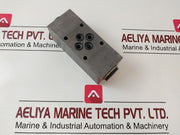 Wandfluh Aerva6 Check Hydraulic Valve P Max 350Bar