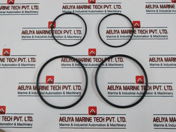 Watts 0887750 Regulator Total Rubber Parts Kit 909/909Rpda