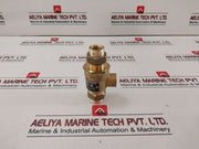 Watts 1/2â€ 9D-m3 Dual Check Valve