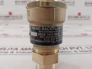 Watts 1/2â€ 9D-m3 Dual Check Valve 175 Psi