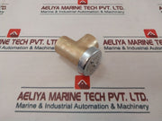 Watts 288A-m4 Anti-siphon Vacuum Breaker
