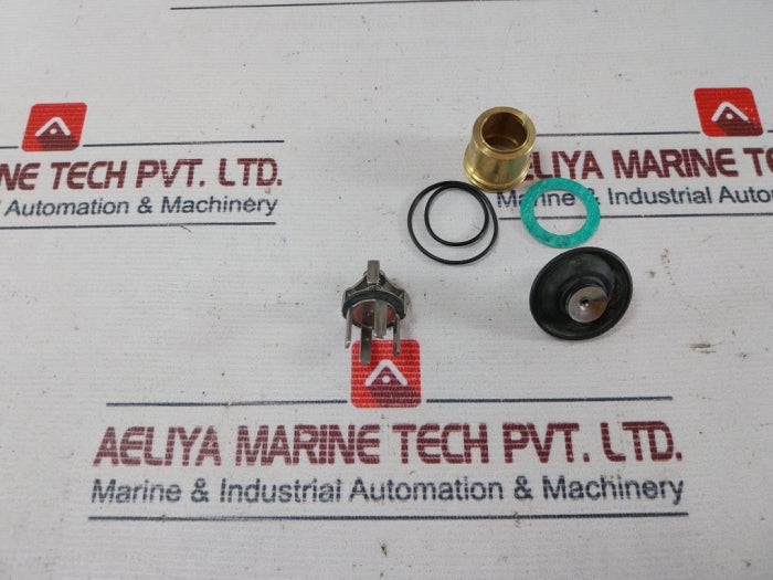 Watts 0886010 3/4" Backflow Preventer Repair Kit