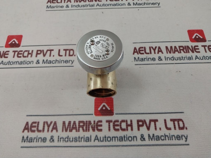 Watts Asse-1001 Brass Anti-siphon Vacuum Breaker