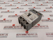 Weg Acw250P 3 Pole Industrial Circuit Breaker 60V~ 50/60Hz