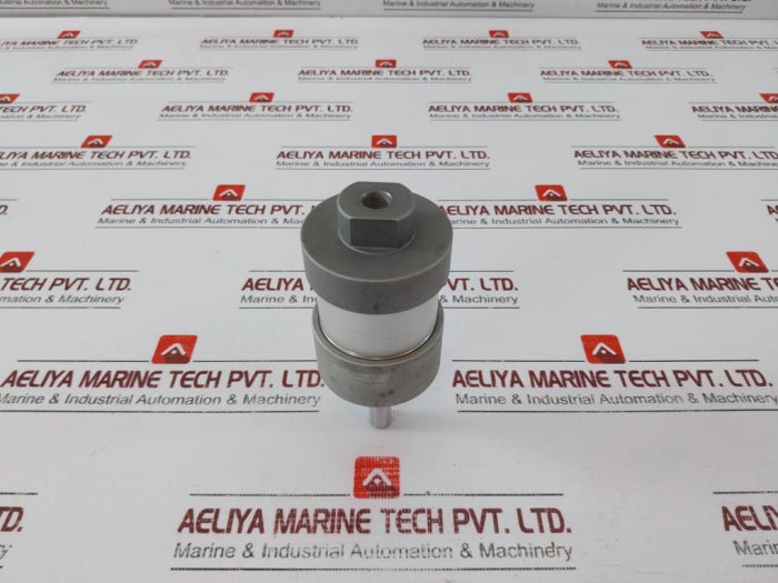 Werk-schott Pneumatica 1124G3110-0020 Pneumatic Cylinder