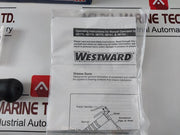 Westward 4By71 Grease Gun Lever 10,000 Psi/690 Bar