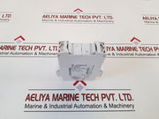 Wieland Nmi 1001 Current Monitoring Relay