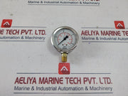 Wika 213.53.063 Pressure Gauge