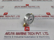 Wika 213.53.063 Pressure Gauge