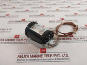 Wika Sc15608S205-0 Temperature Switch