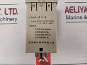 Xinling Hhs2 Timer 110V Ac