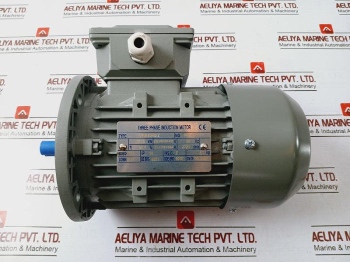 Ye3L63M2-2 Three-phase Induction Motor 0.25Kw 220-240/380-415V 50Hz