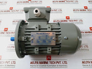 Ye3L63M2-2 Three-phase Induction Motor 0.25Kw 220-240/380-415V 50Hz