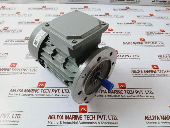 Ye3L63M2-2 Three-phase Induction Motor 0.25Kw 220-240/380-415V 50Hz
