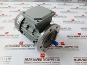 Ye3L63M2-2 Three-phase Induction Motor 0.25Kw 220-240/380-415V 50Hz