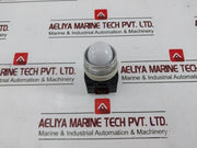 Yongsung Yspl2-22 Pilot Indicator Lamp/Light 50/60Hz, Sv 5.5V 200/220V White 