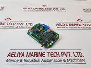 Z011.109A Pcb E2 4..20Ma