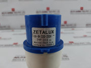 Zetalux 013 Industrial Weatherproof Plug 16A 220â€“250V 6H